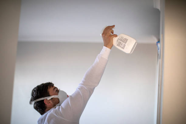 Best Mold Damage Repair  in La Grange Park, IL