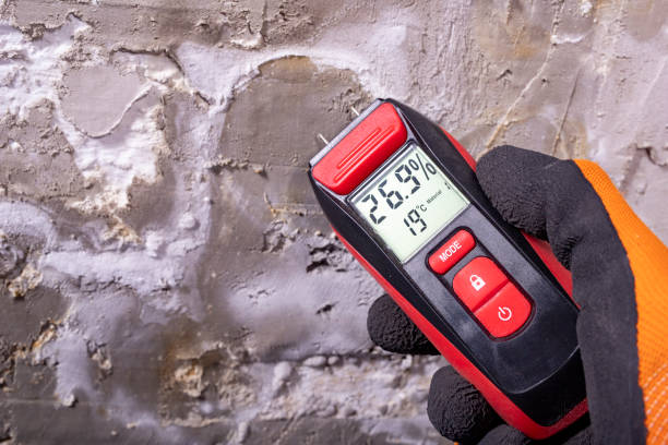 Best Mold Testing  in La Grange Park, IL