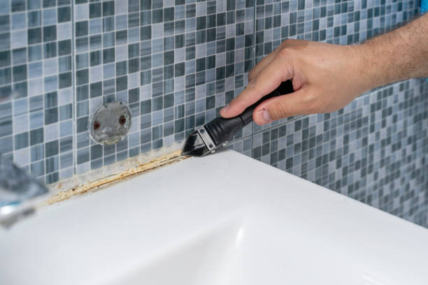 Best Mold Remediation  in La Grange Park, IL