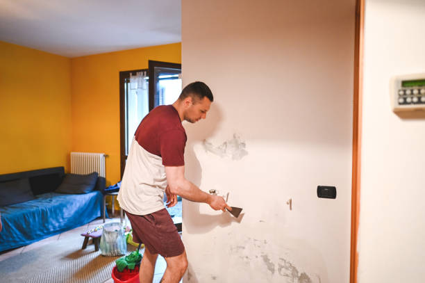 Best Emergency Mold Removal  in La Grange Park, IL